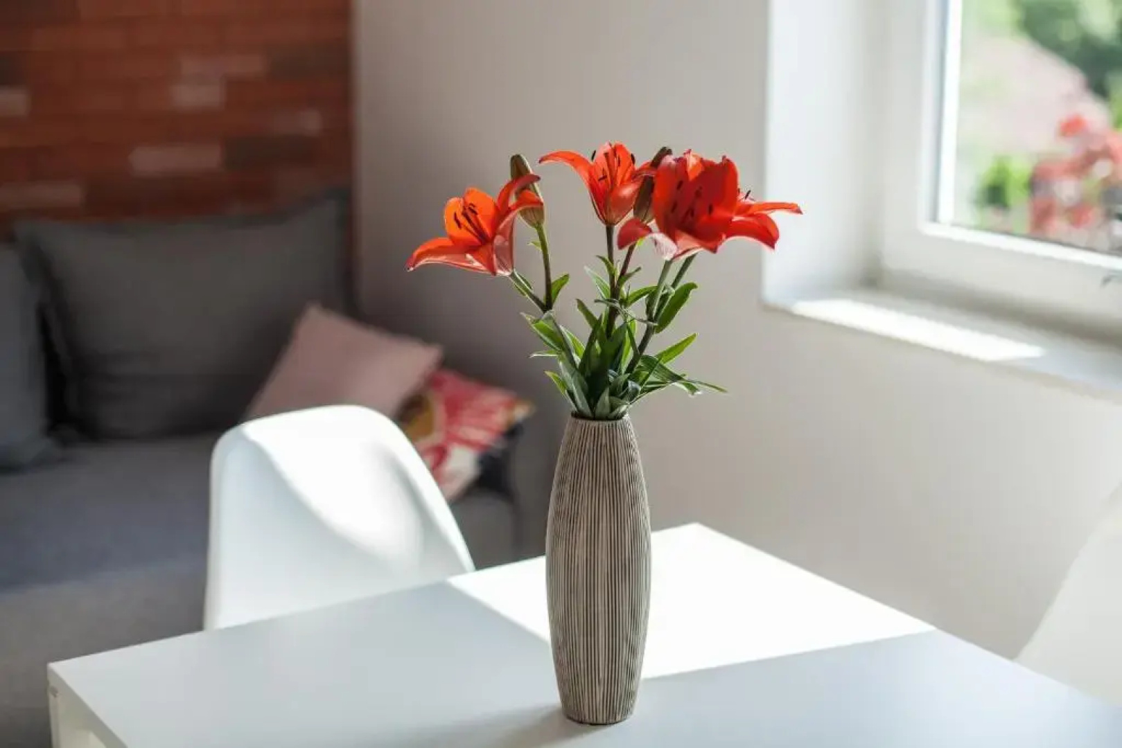 Lawendowo- domki, apartamenty, sauna i jacuzzi