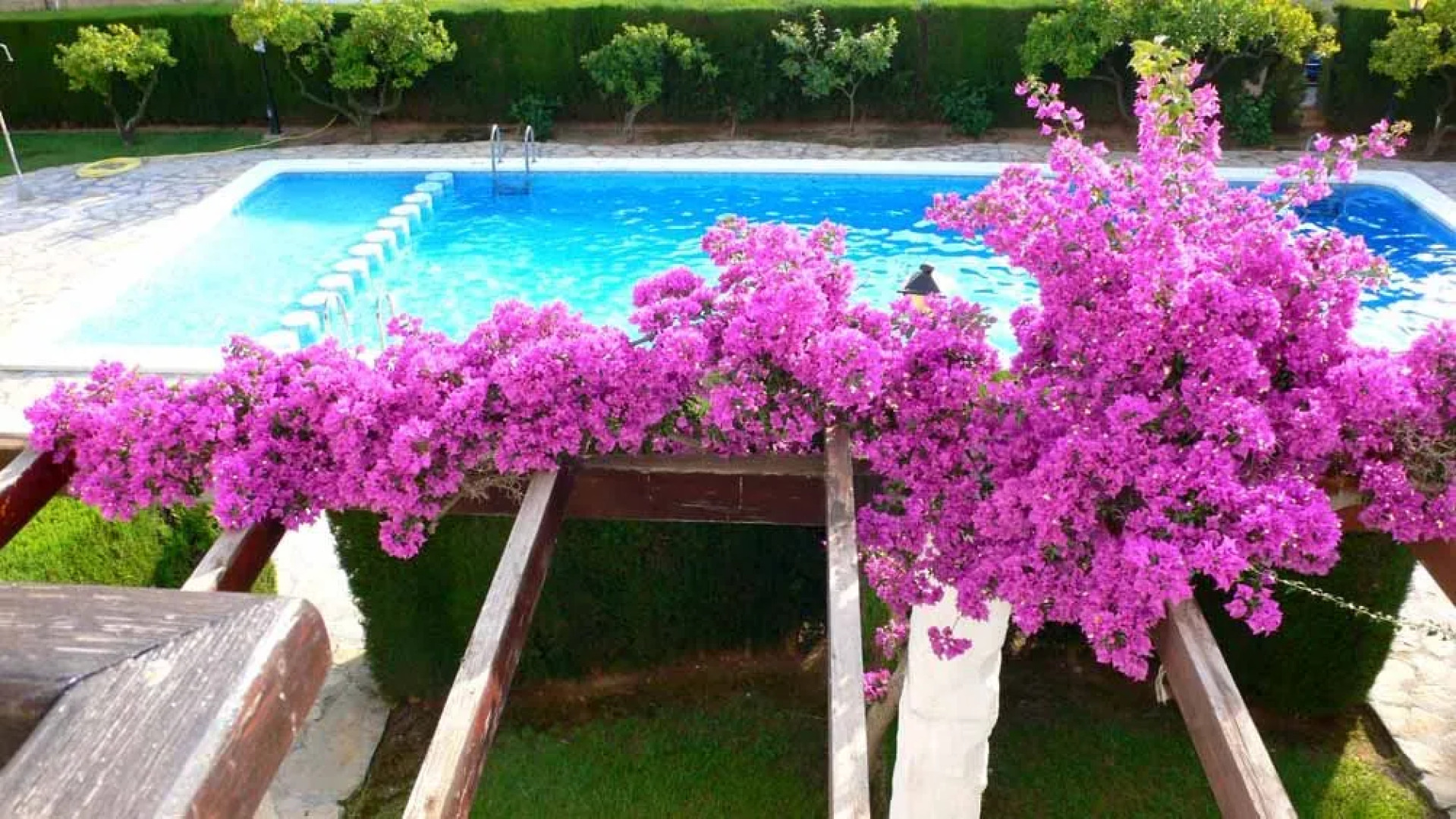 Bungalows Orange Park