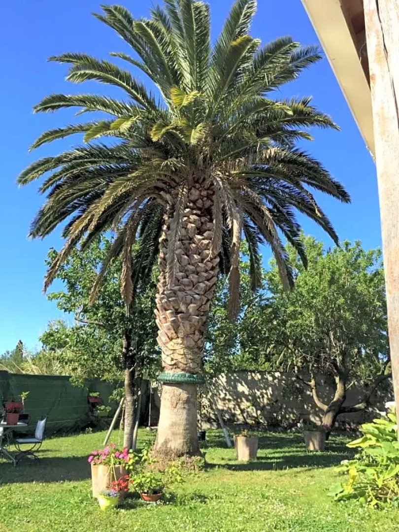 Chez Marydidou : Chambres d'hôtes