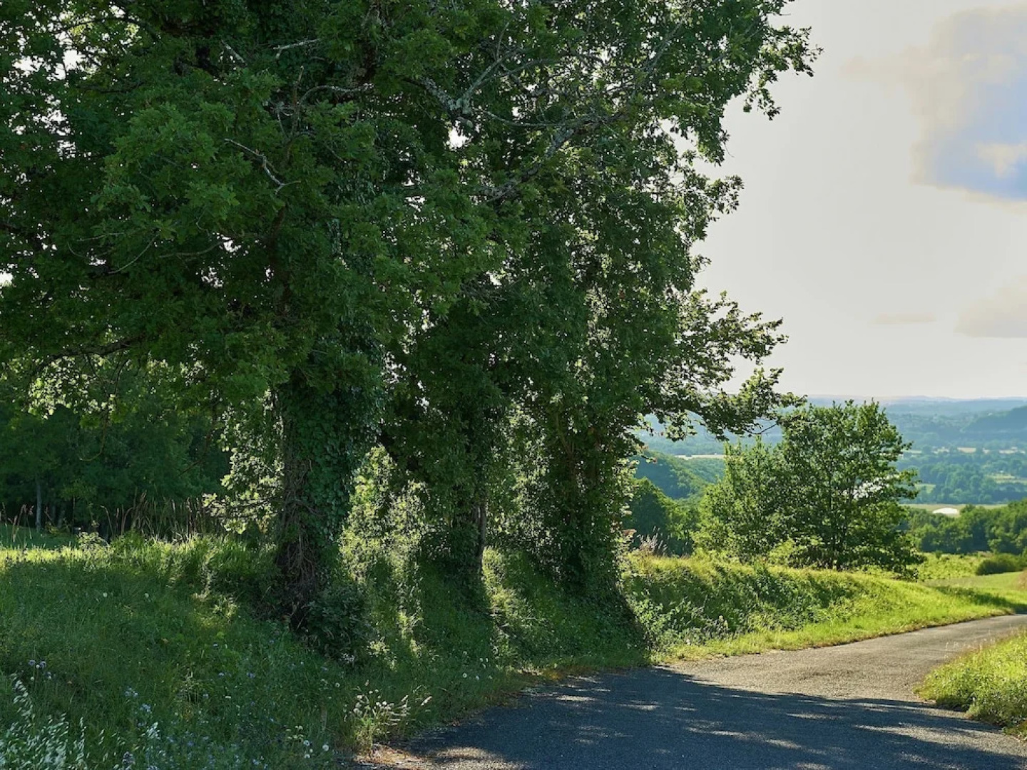 Attractive Bungalow With a Terrace on a Hill in the Dordogne