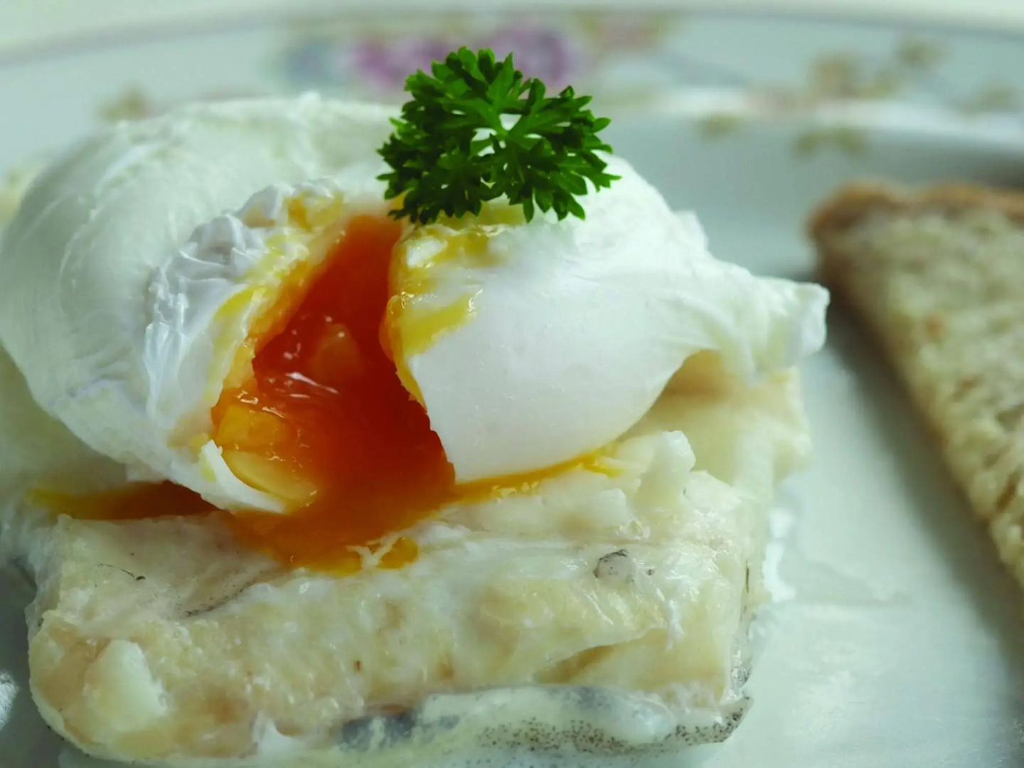 The Robin Hill Hotel