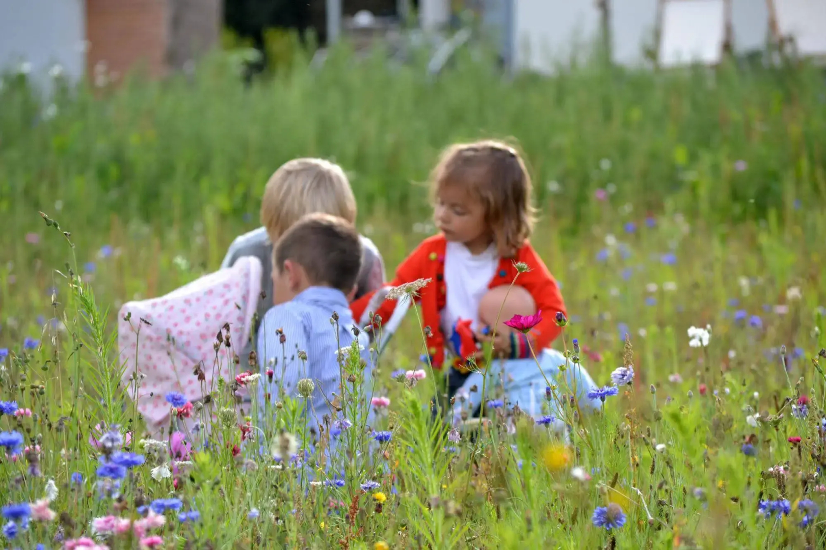 Gîtes LES Hauts DE Toulvern