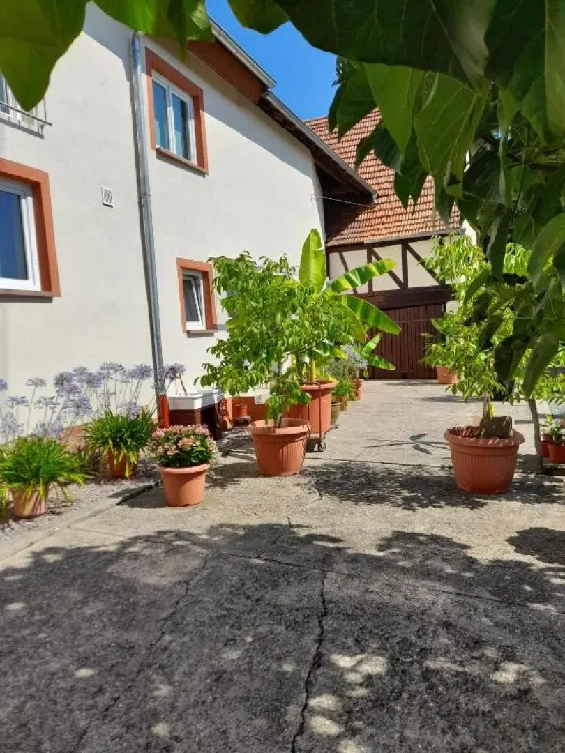 Ferienwohnung "Zum alten Kuhstall"