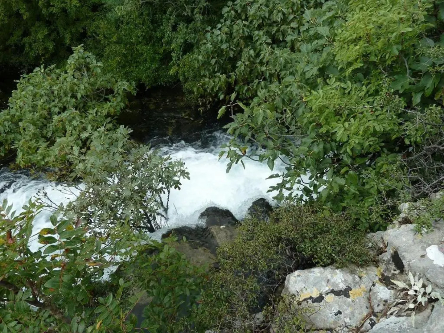 Apartments Kiwi Karin