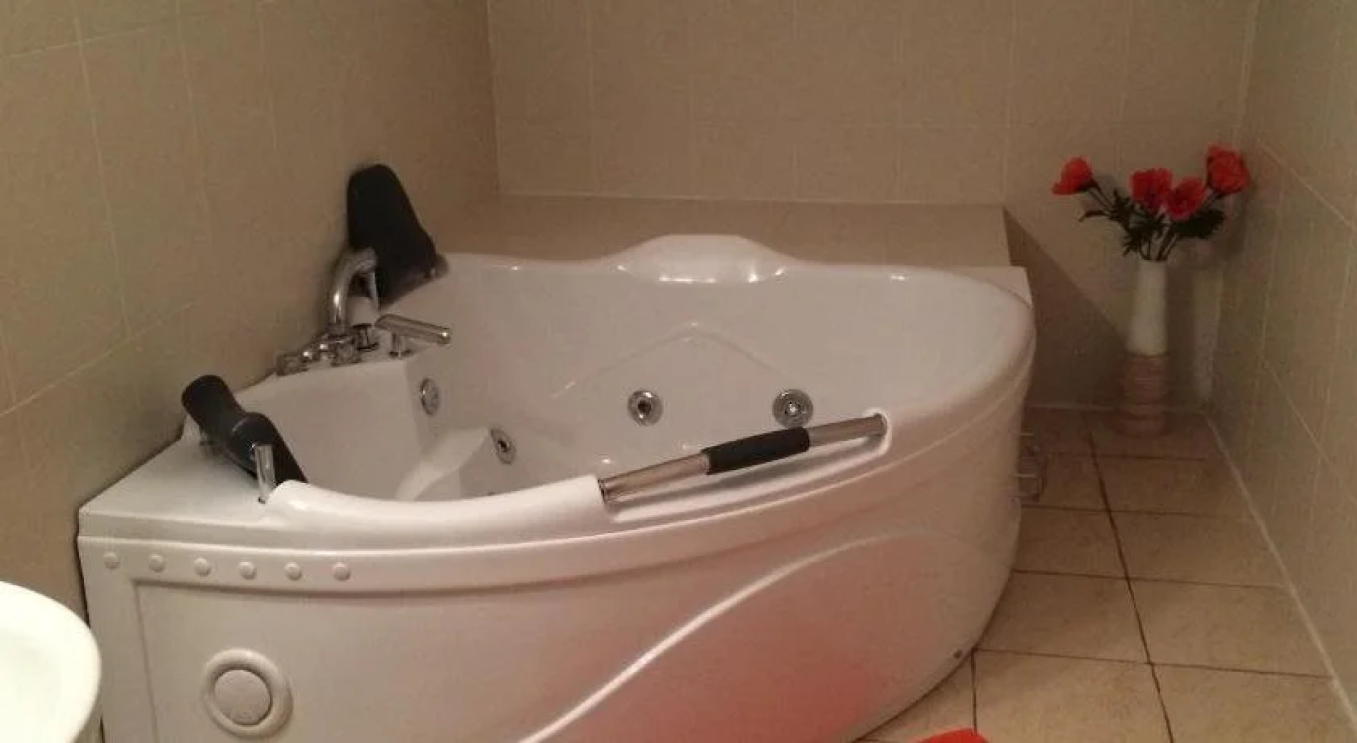 Vila Transylvanian Inn