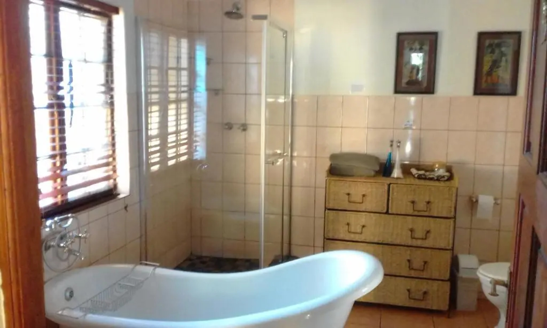 Trees Too Guest Lodge