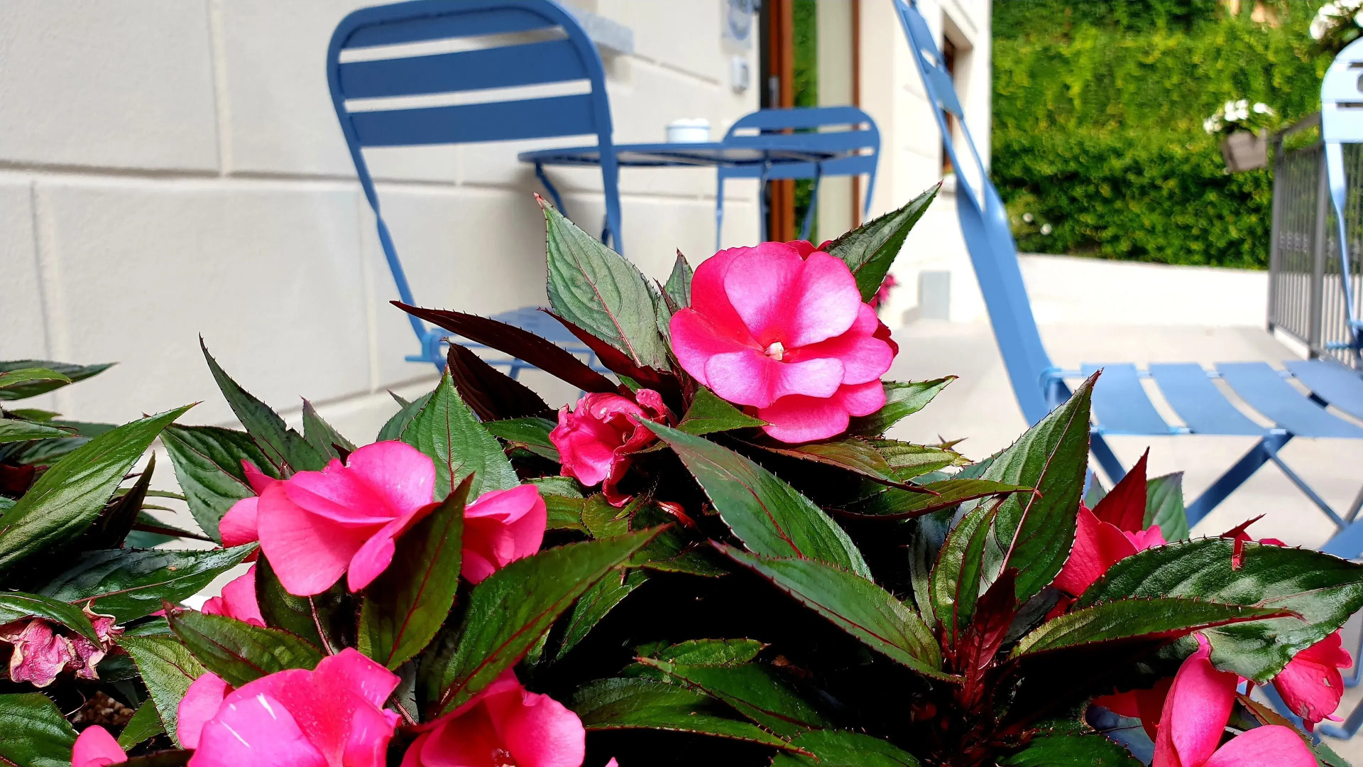 Bb I Lake It Bellagio