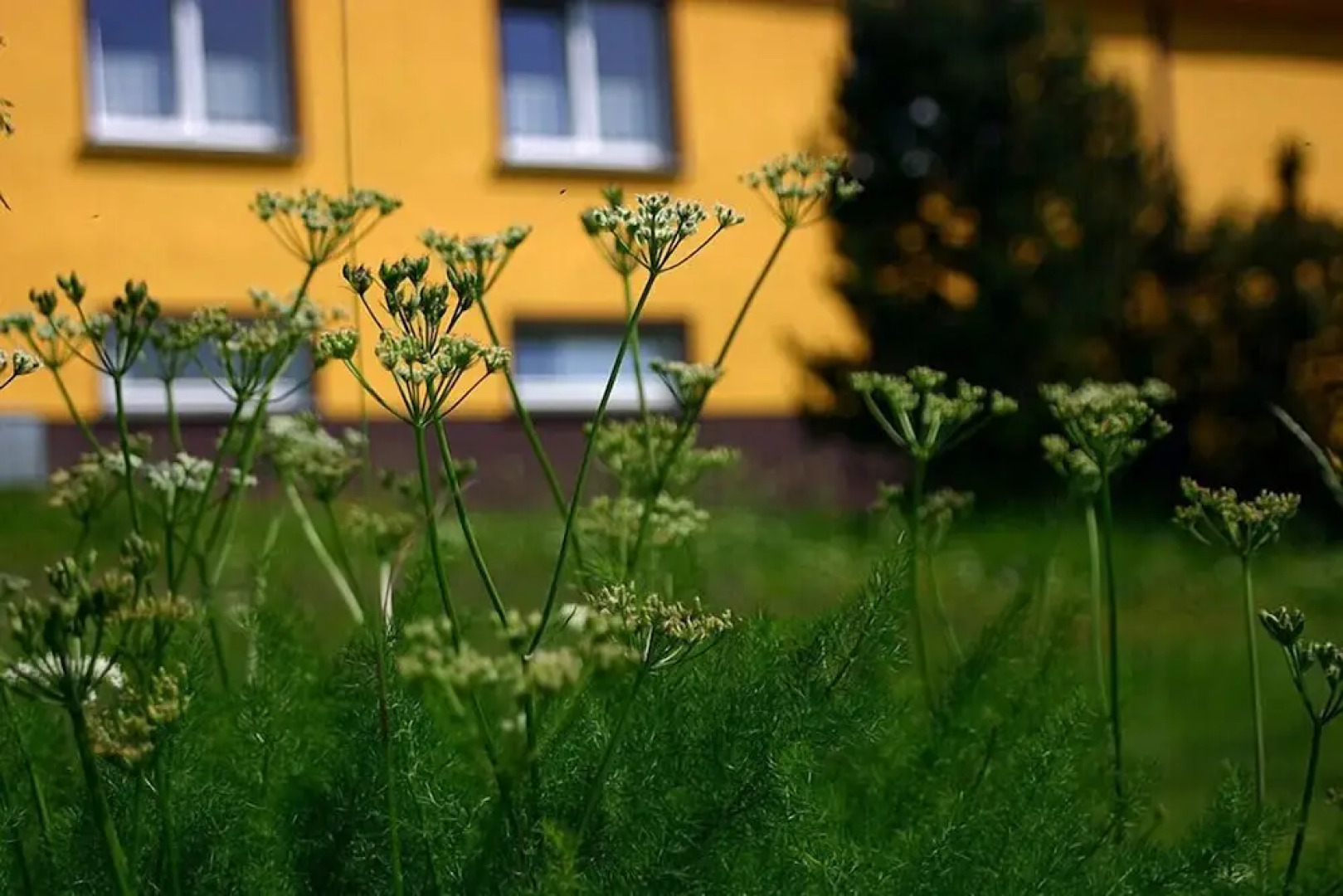 Pension & FeWo's Talblick