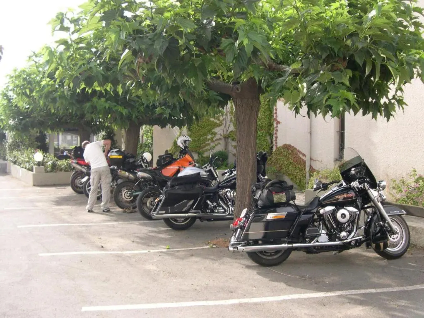 Hotel Costa Verde