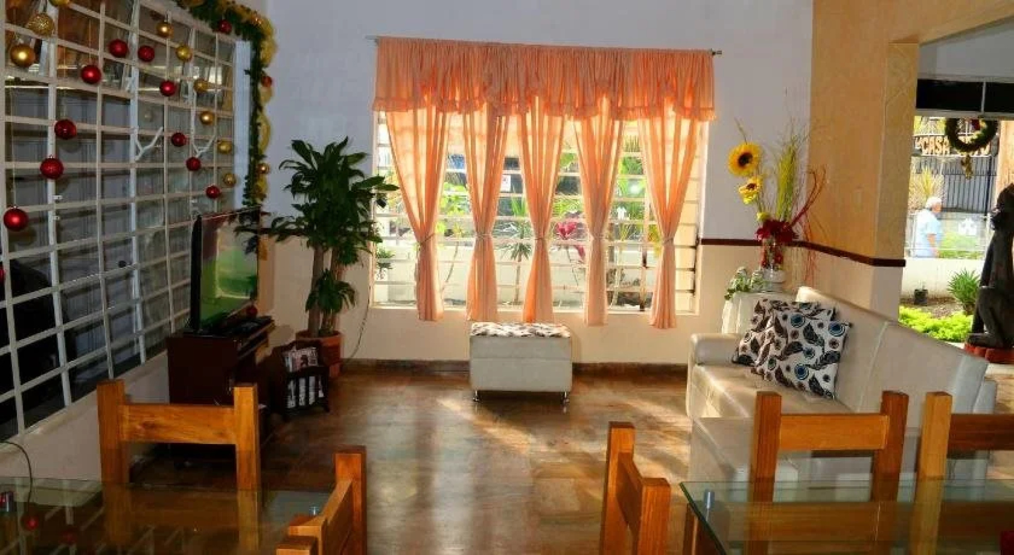 Hostal Casa del Gato - Hostel