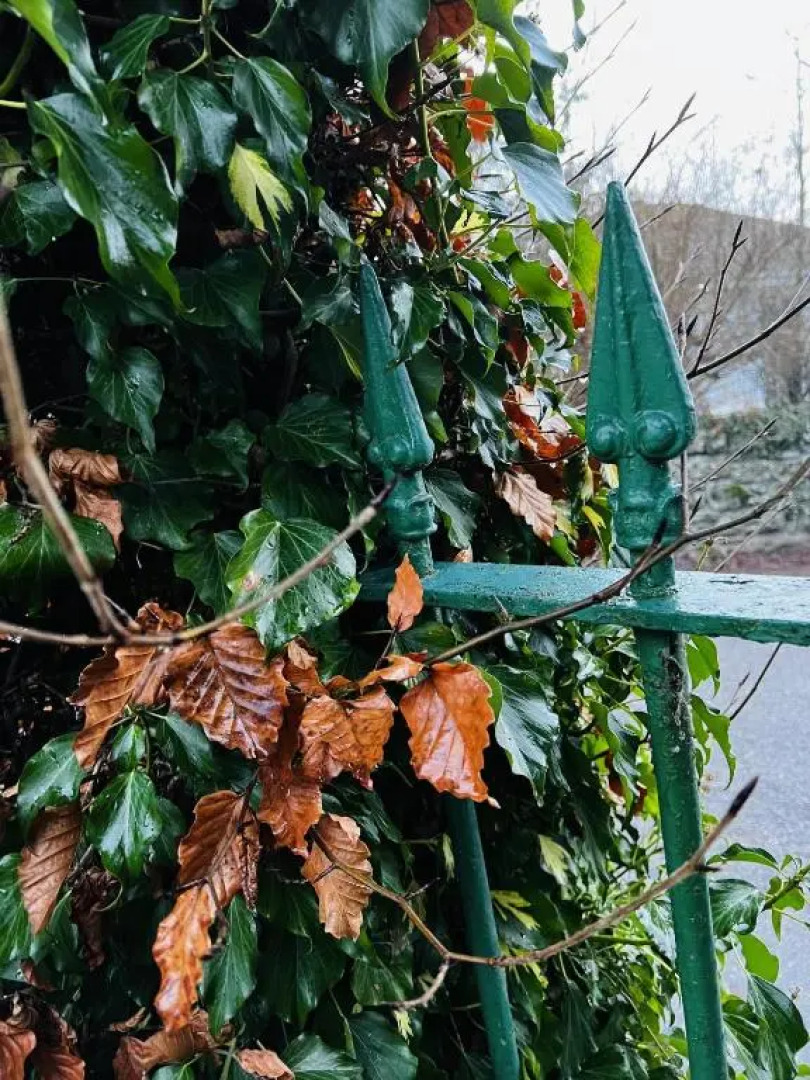 St Duthus Villa Guesthouse