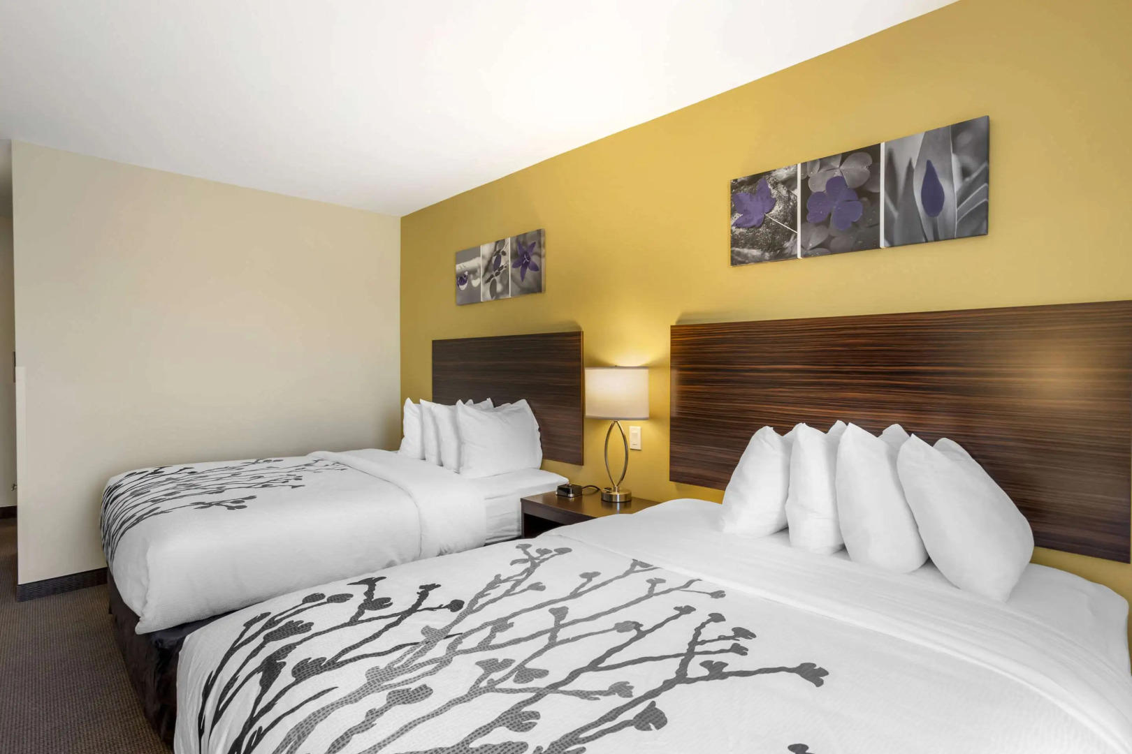 Sleep Inn North - Central York