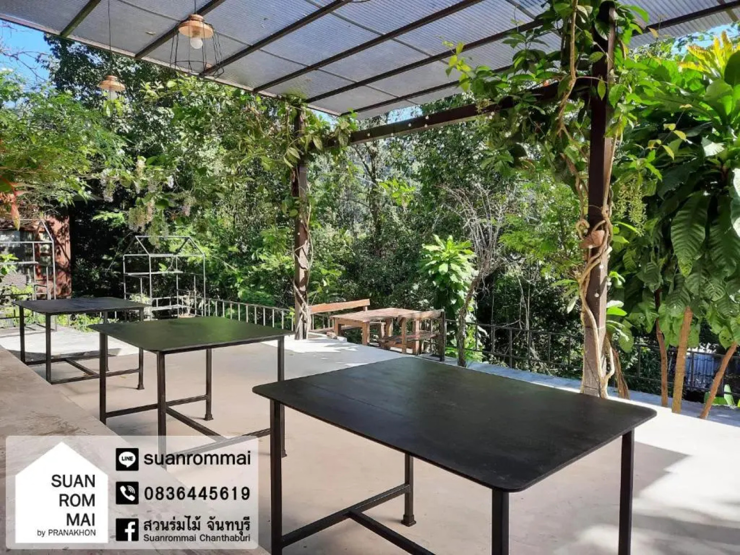 Suan Rom Mai Chanthaburi