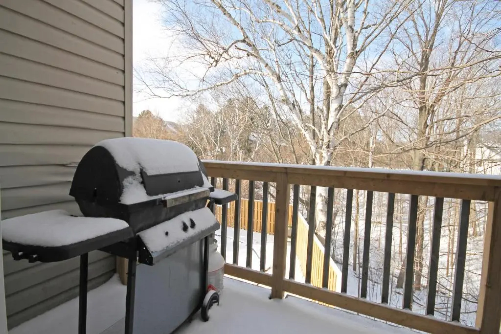 128 Birch View Trail