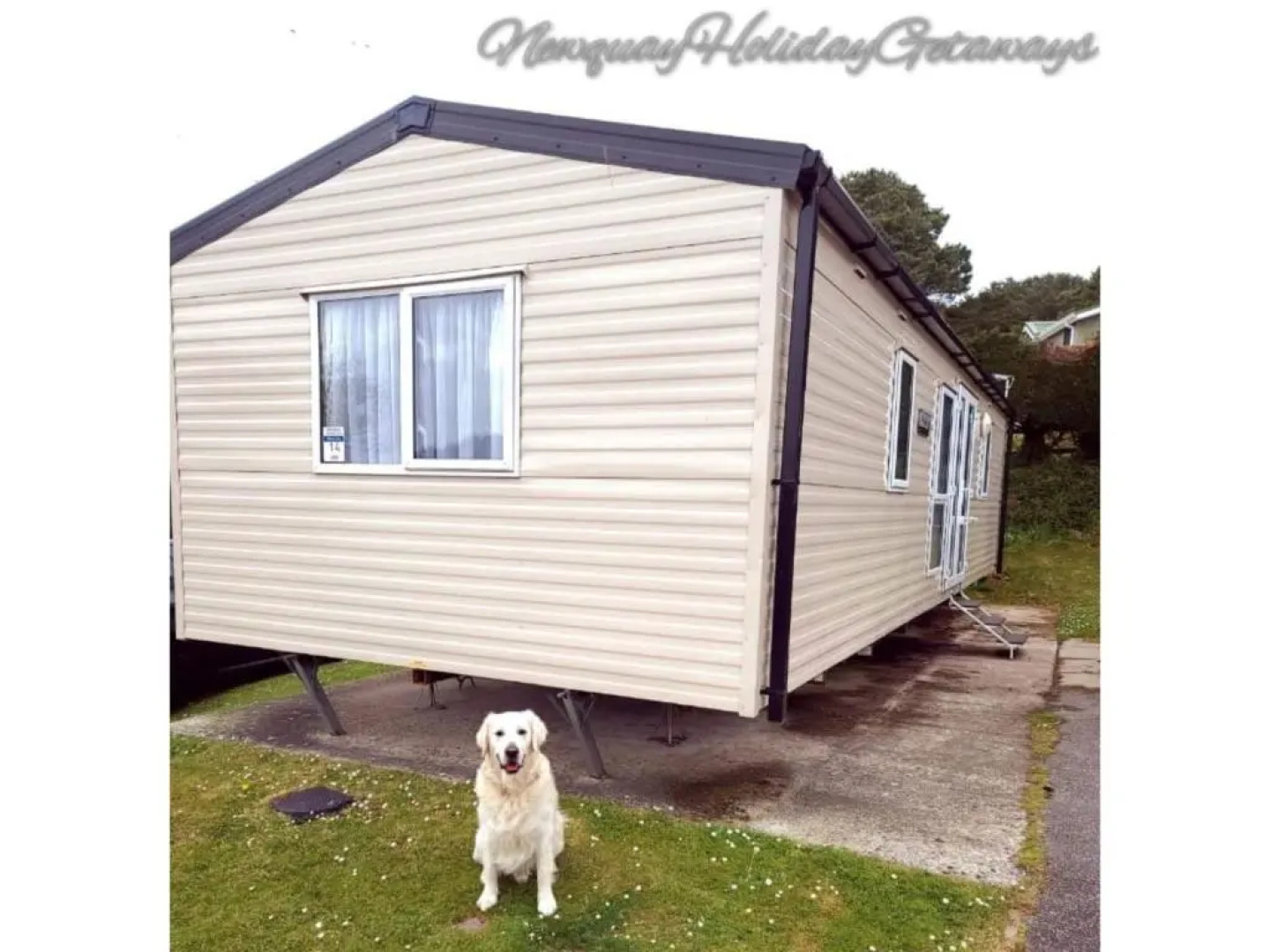 Dog Friendly 6 Berth Static Caravan Newquay