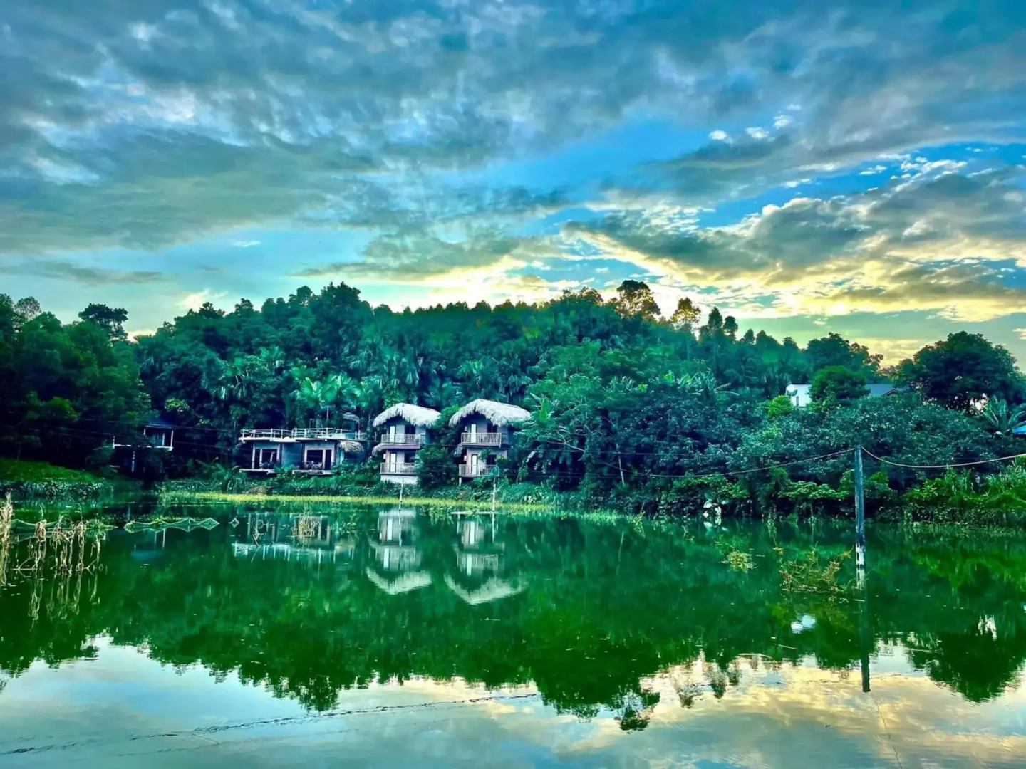 Vu Linh Palm House Eco Homestay