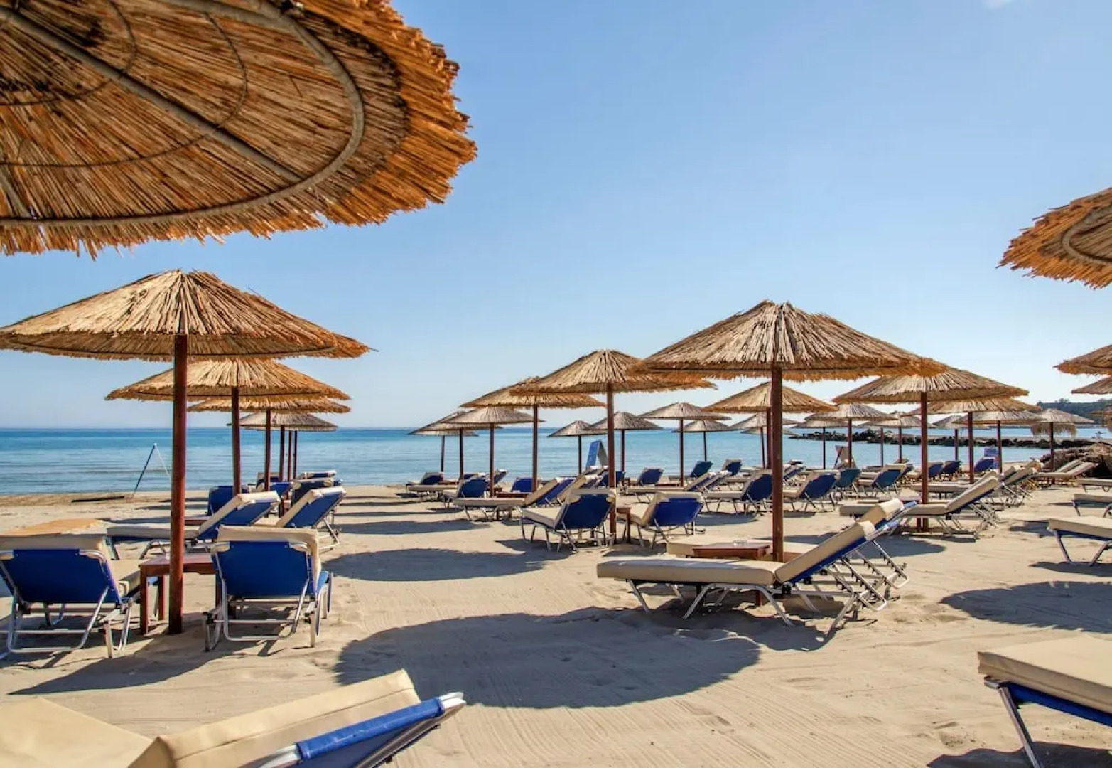 Zante Dolphin III Alykes