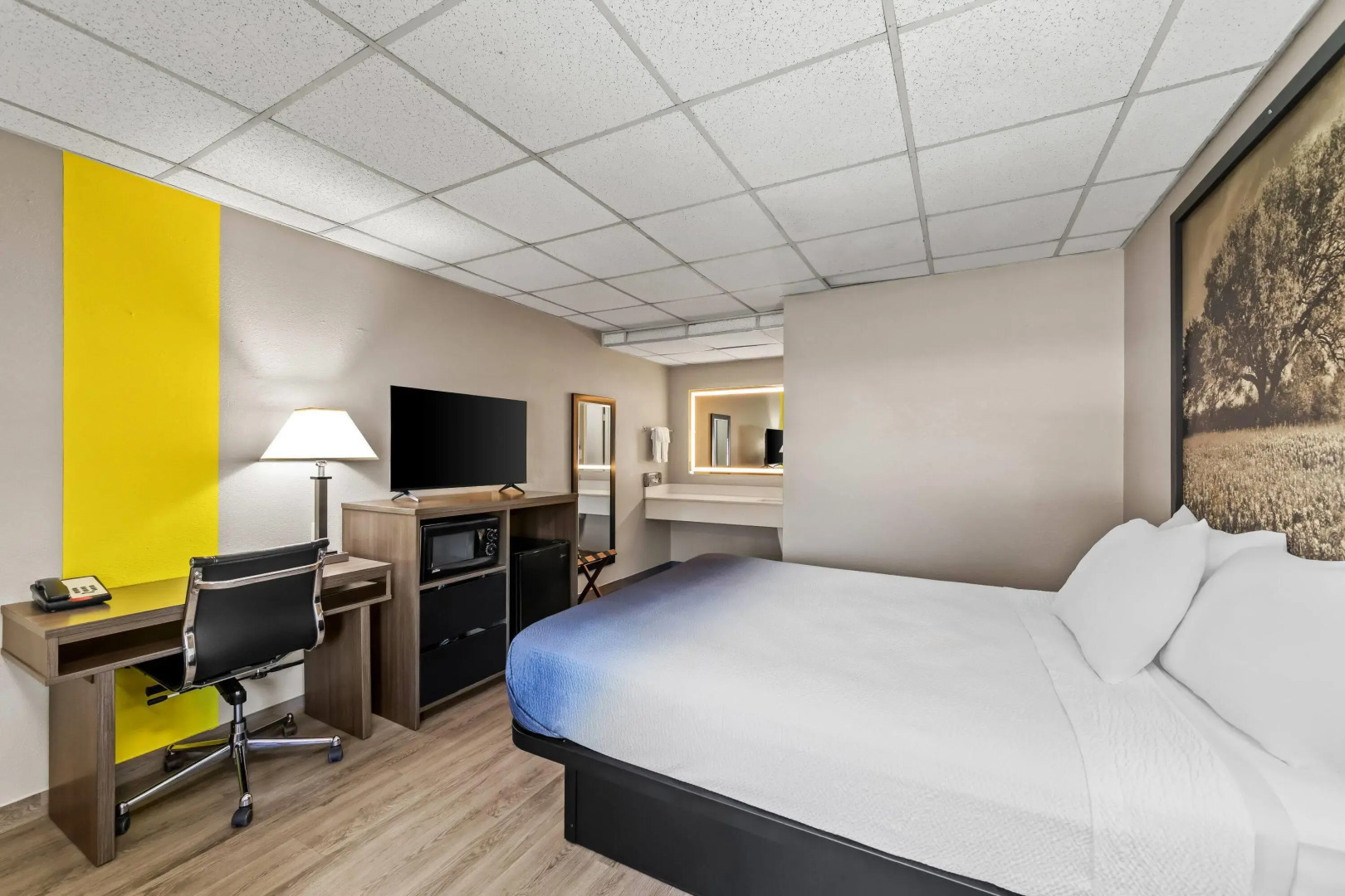 Super 8 by Wyndham Fredericksburg