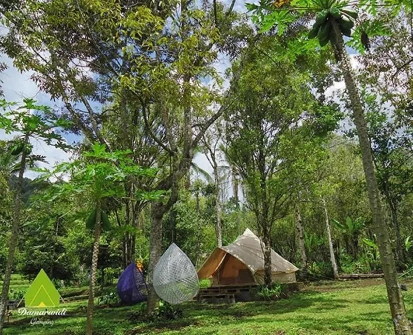 Damarwidi Glamping - Campsite