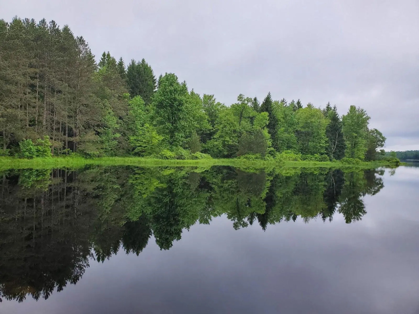Paradise Pine Getaway Cabins