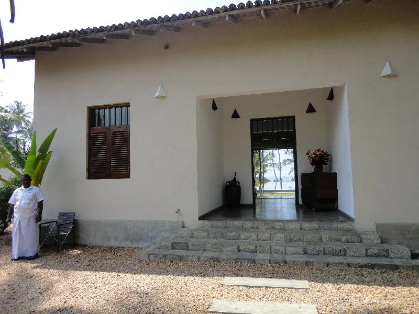 The Frangipani Tree by Edwards Collection