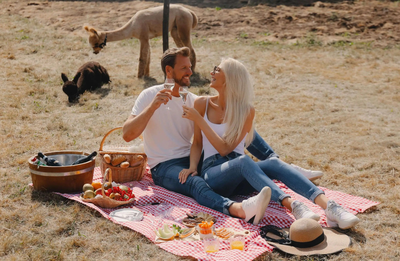 Domaine des Hautes Fagnes