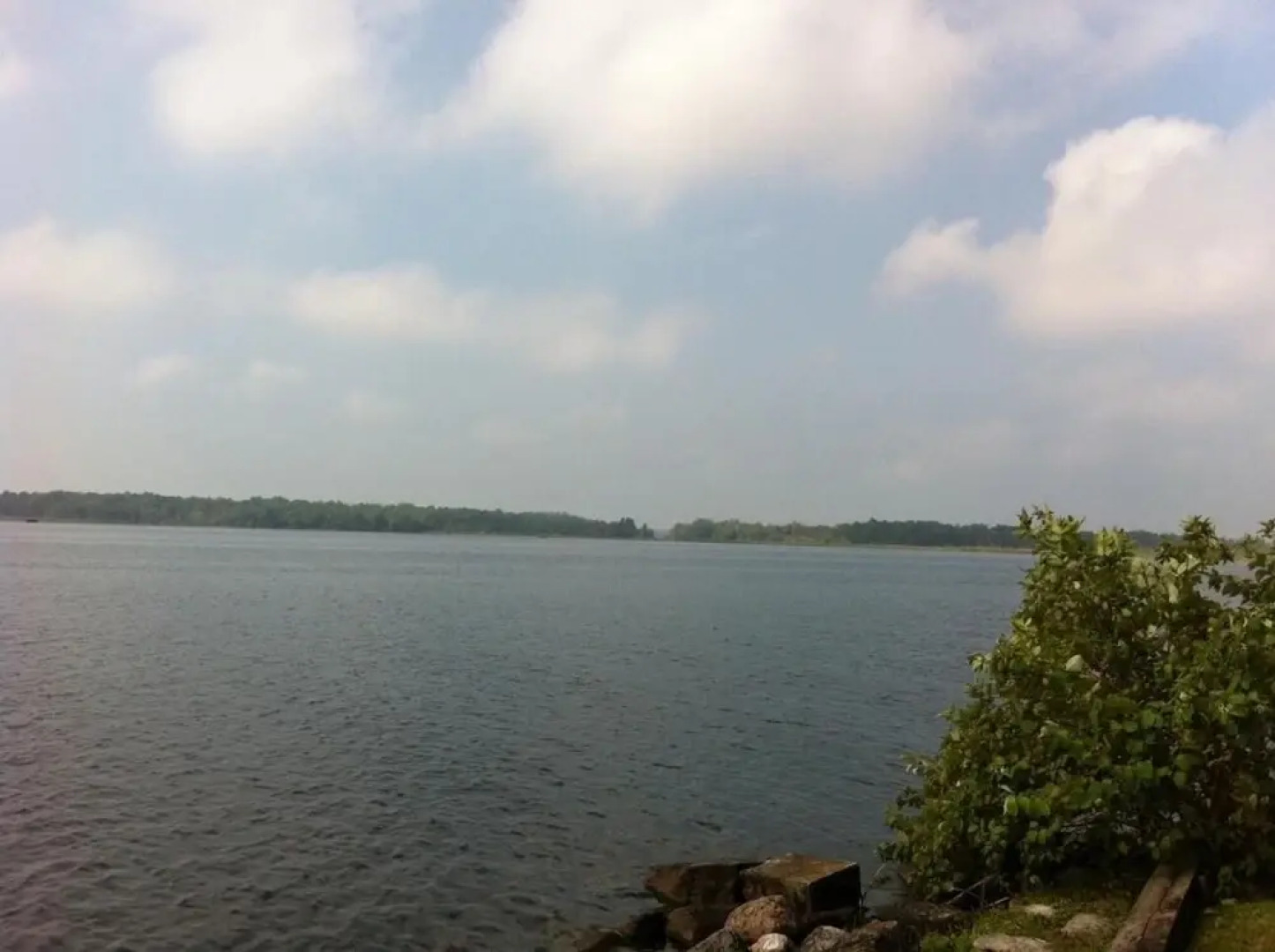 Seymour Point Cottage