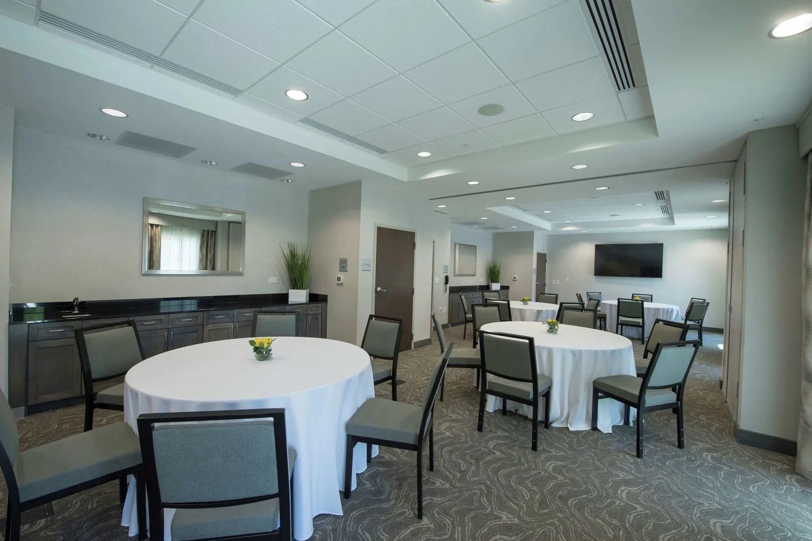 Hampton Inn & Suites Snellville Atlanta NE