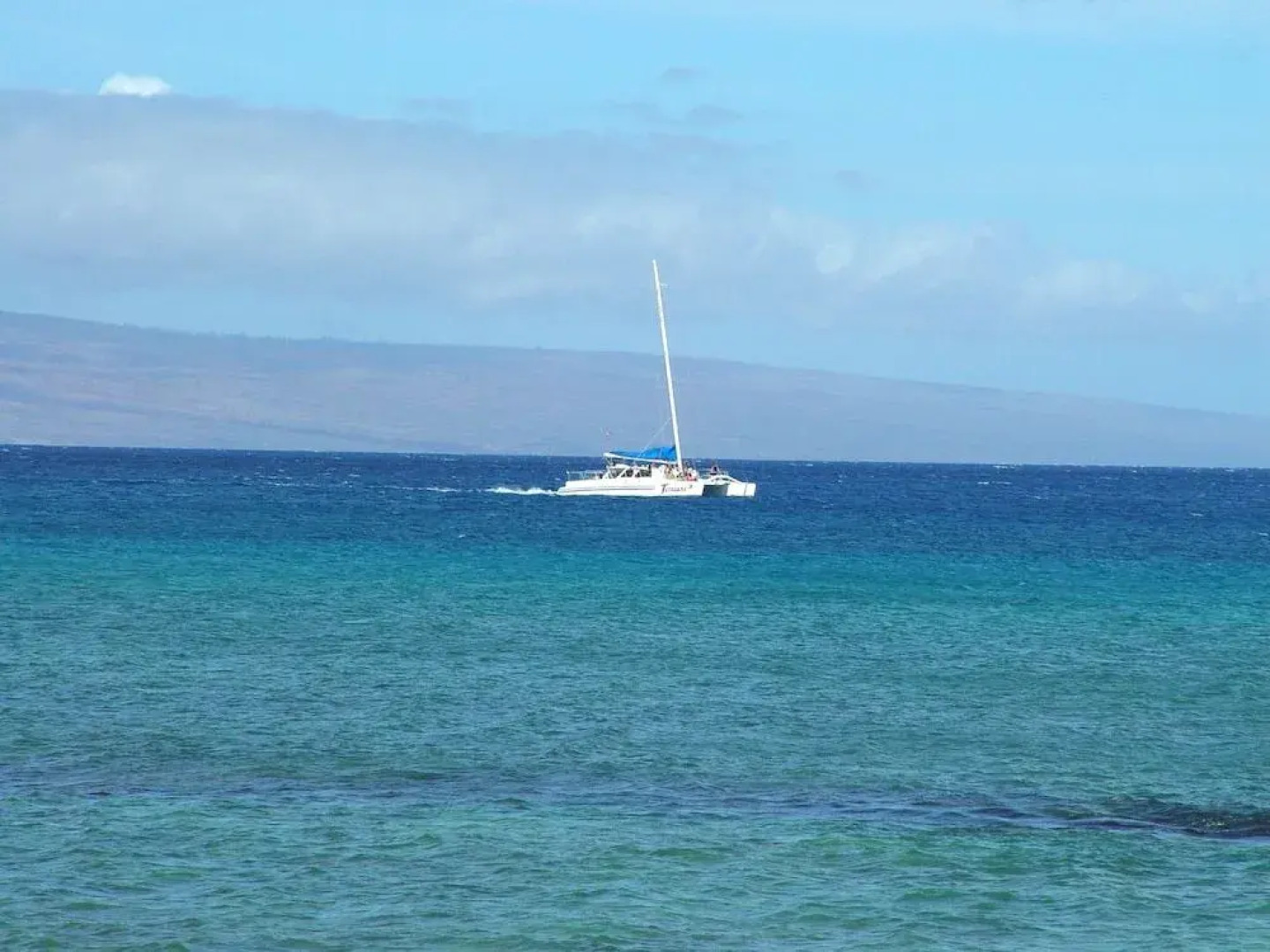 Kaleialoha #113 1 Bedroom 1 Bathroom Condo by Redawning