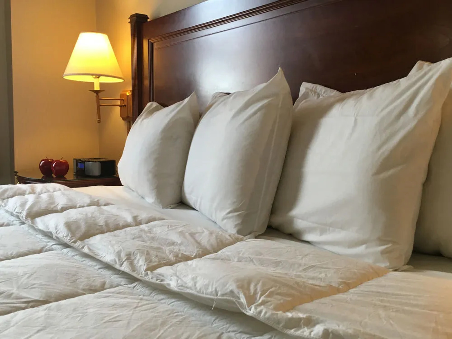 亚伯拉罕林肯酒店(The Abraham Lincoln Hotel)