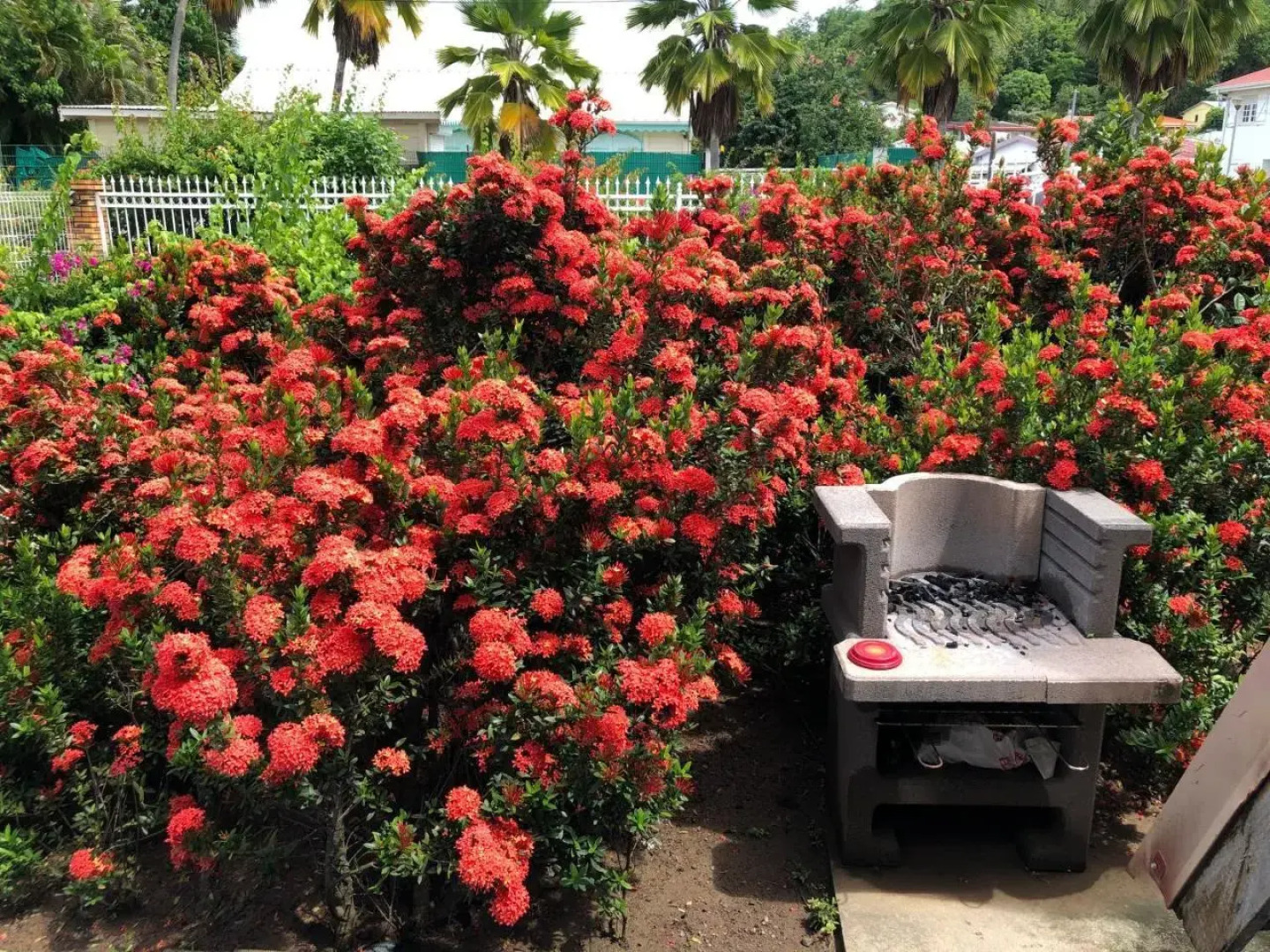 Les bungalows de la plage