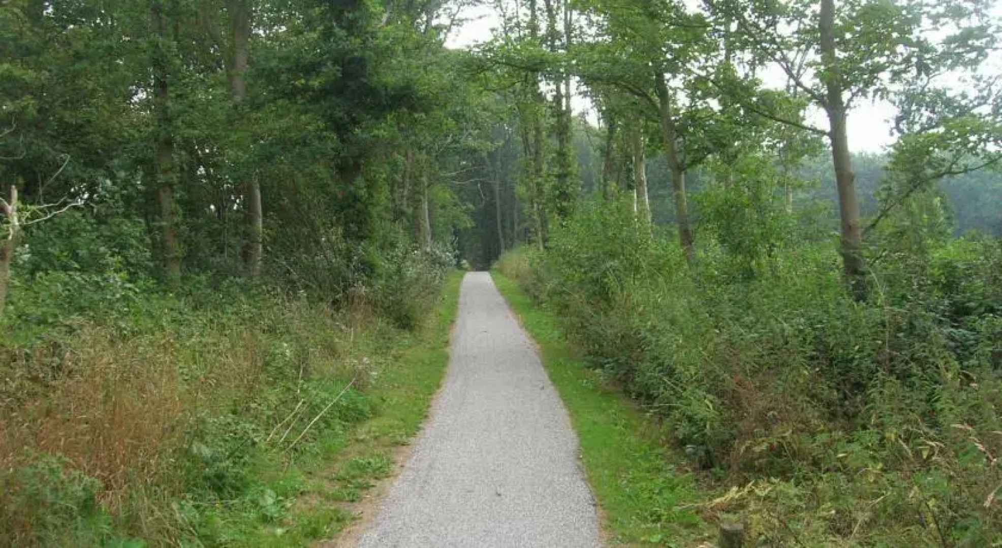 Forest Bungalow Karekiet