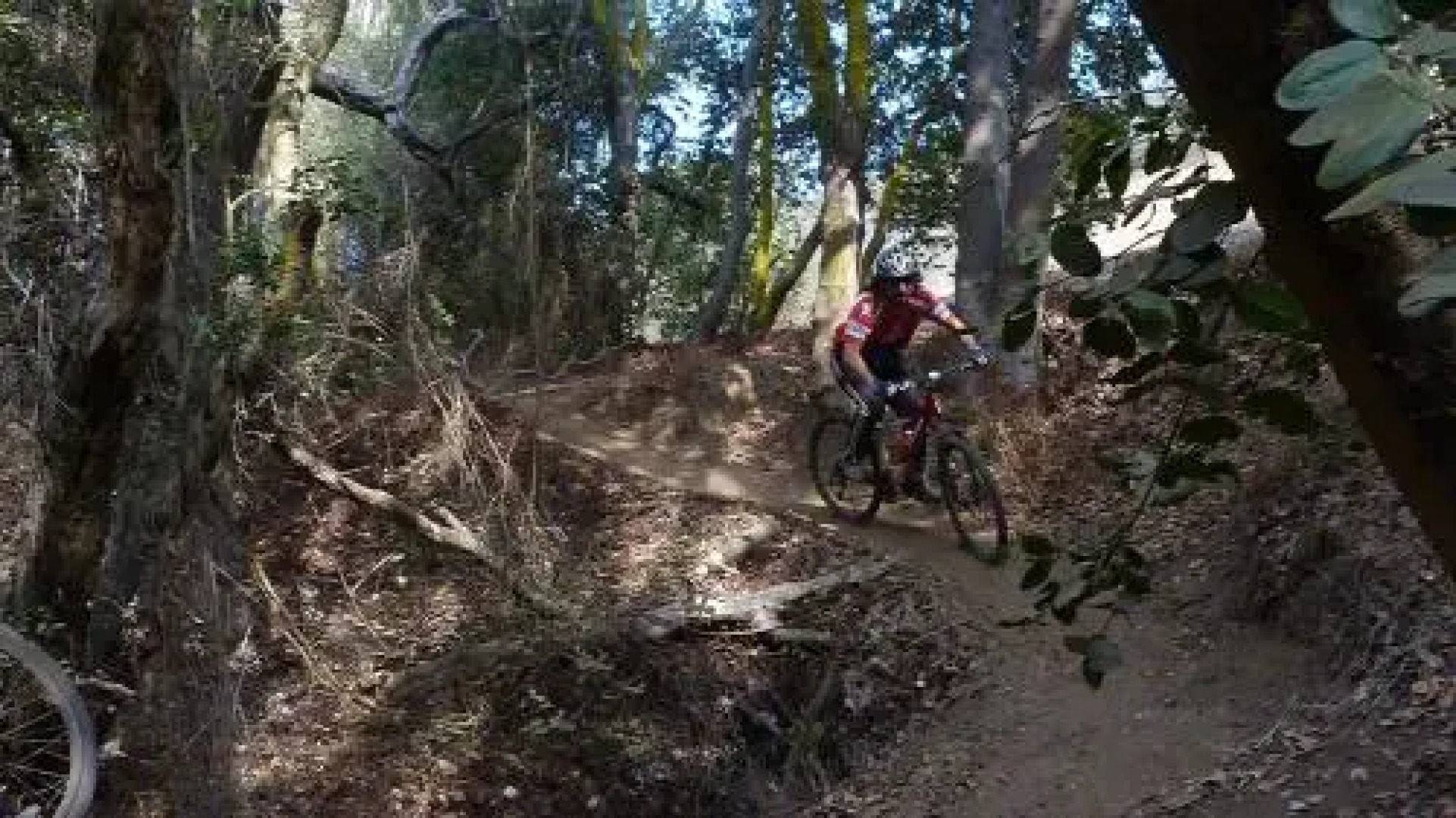 Cabañas Hostel Aquario Papudo