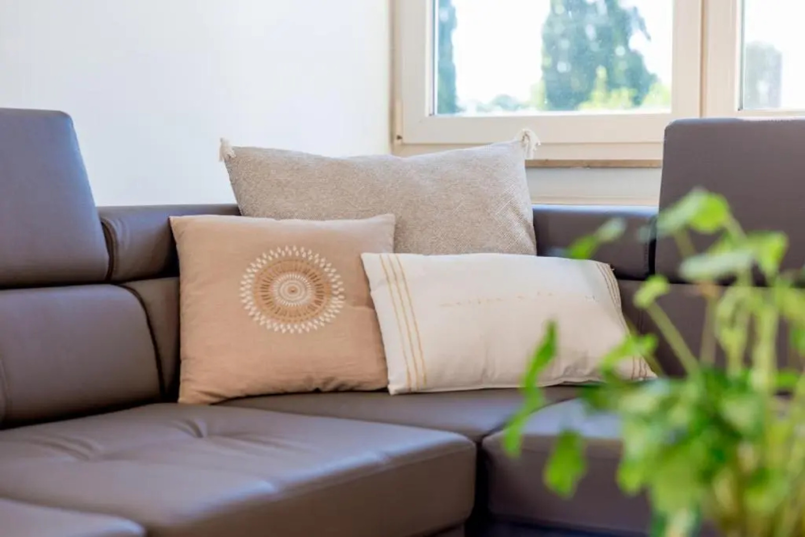 Casa Roman - nieuwe vakantiewoning - Deluxe 4p - Relax 4p - Comfort 4p -- ---Cosy 2p