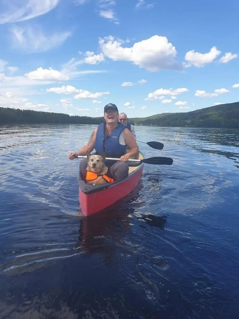 Hammarstrands Camping