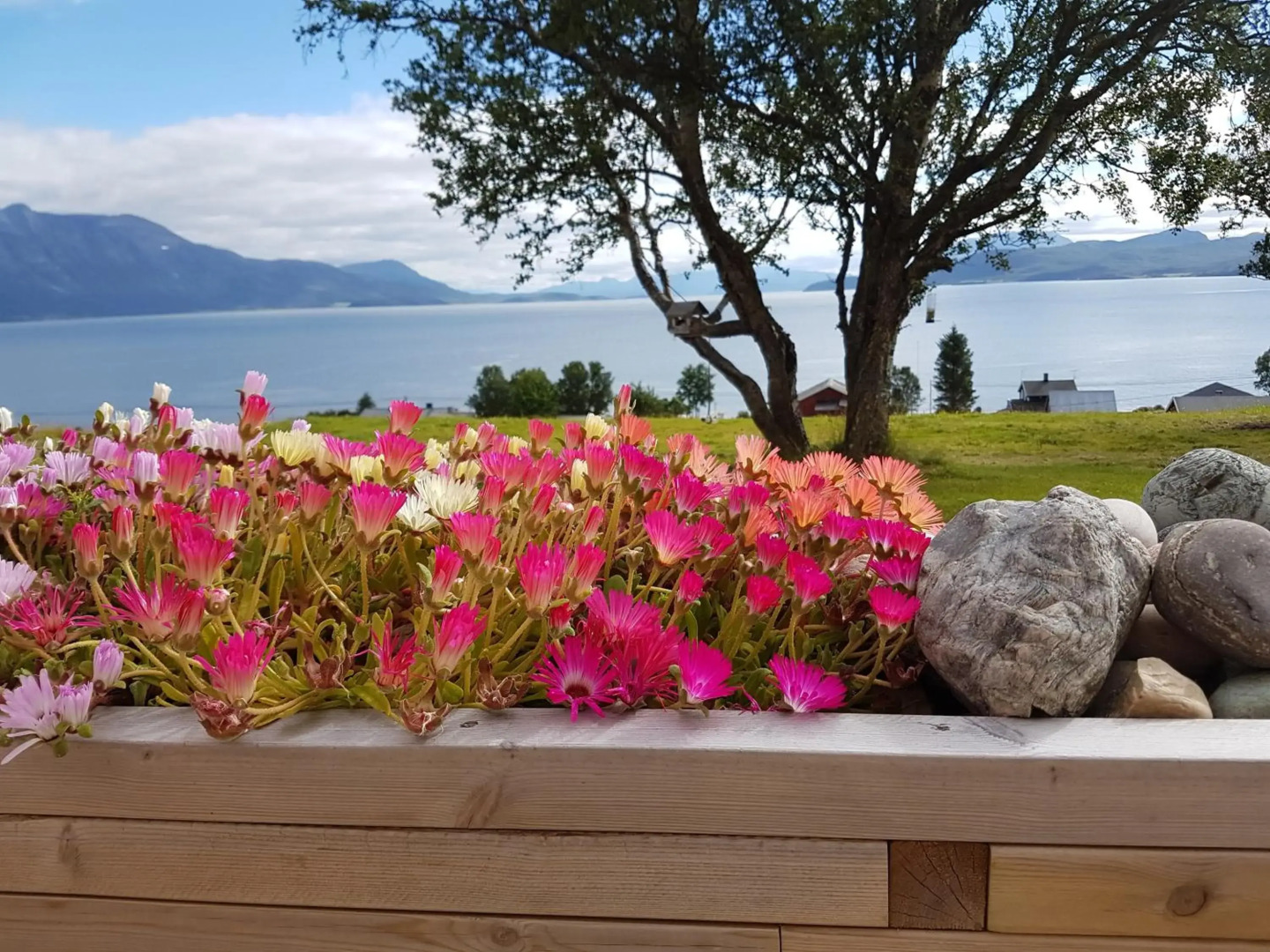 Yggdrasil Farmhotel Retreat, Spa & Yoga