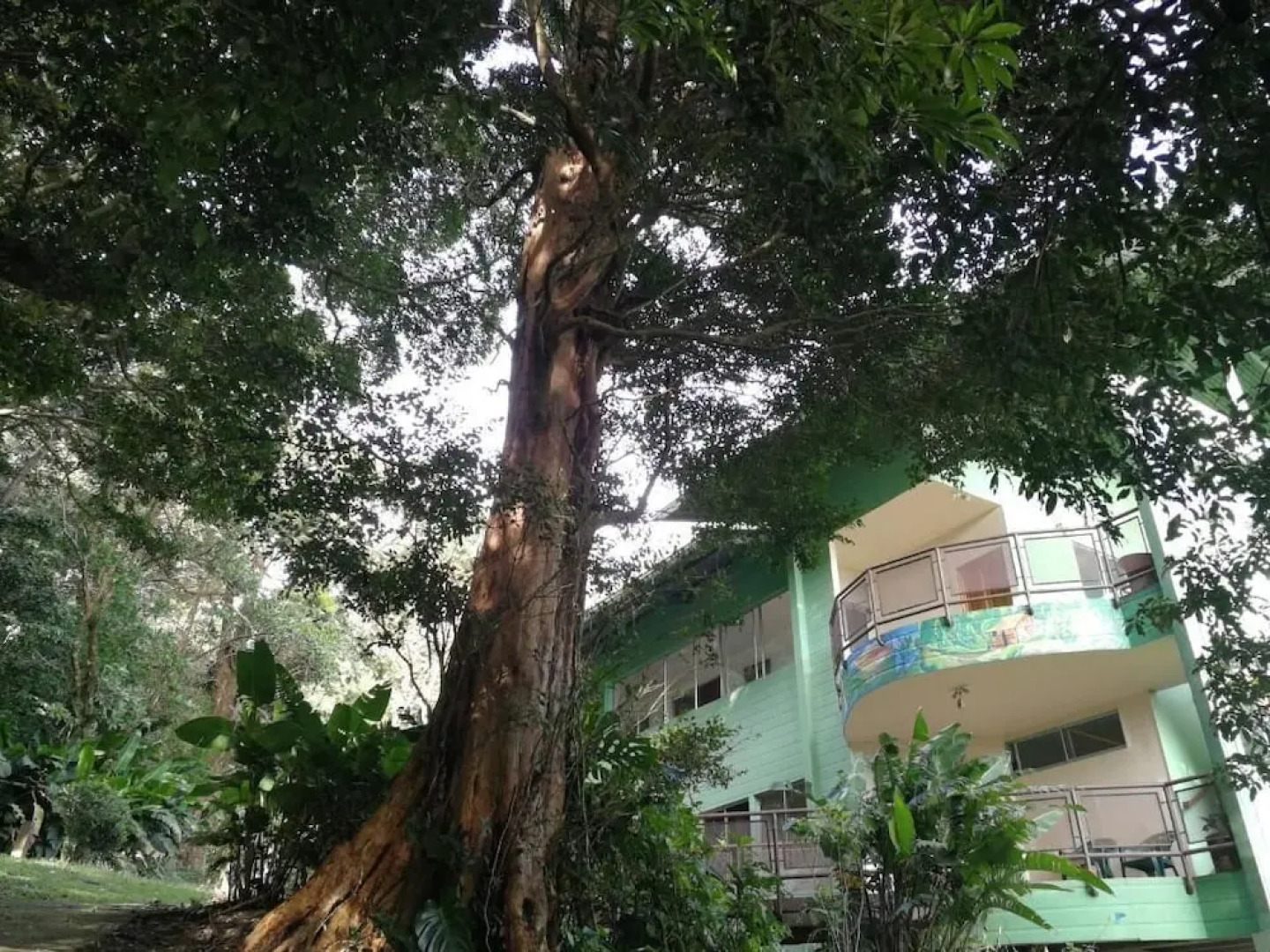 La Casa de la Montaña B&B