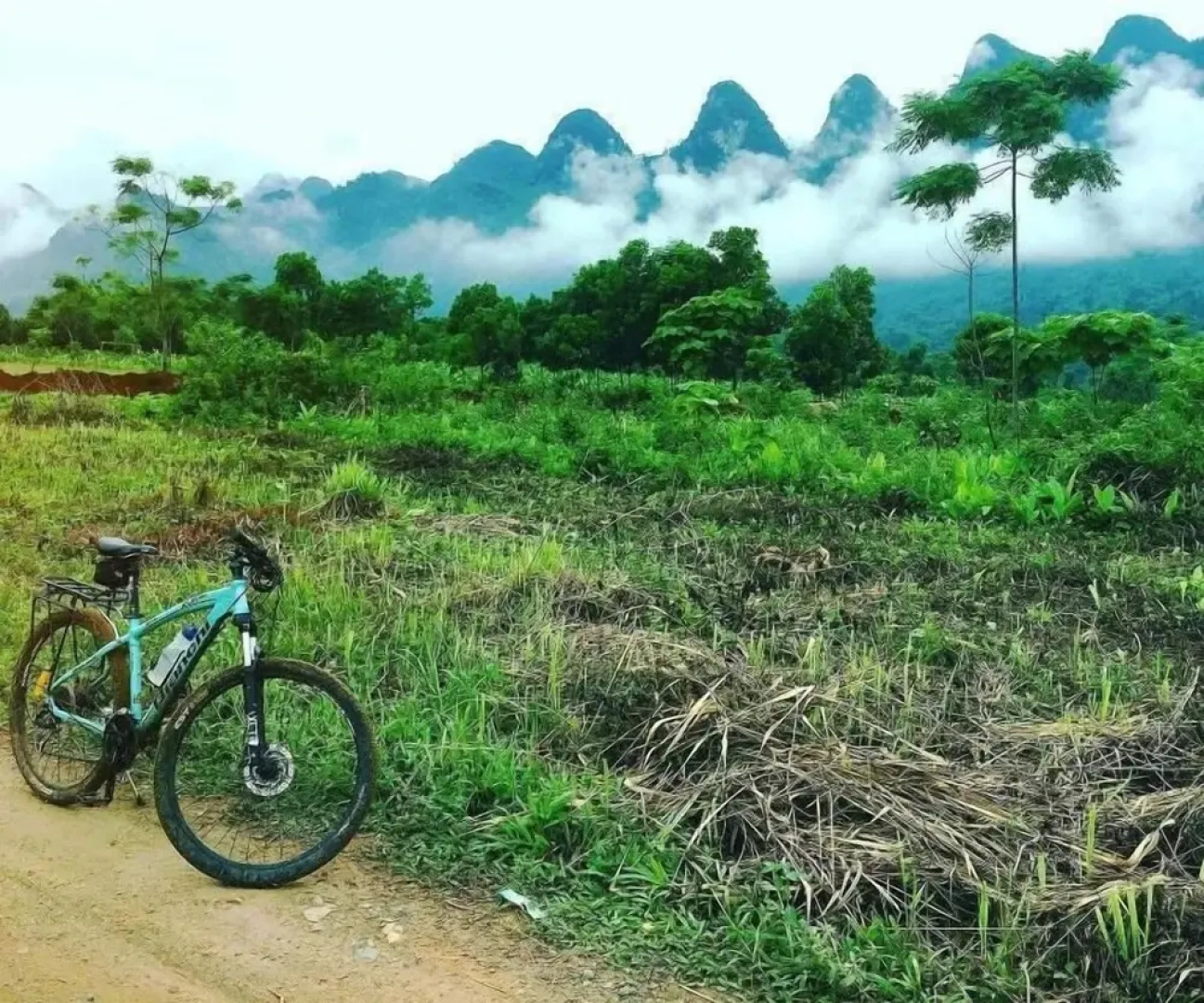 Frontier Hostel & Tours