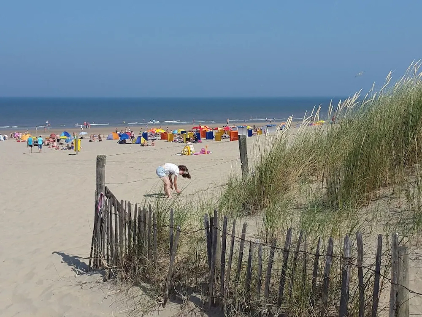 Simple and Laid-back Bungalow on the Edge of Cozy and Child-friendly Park