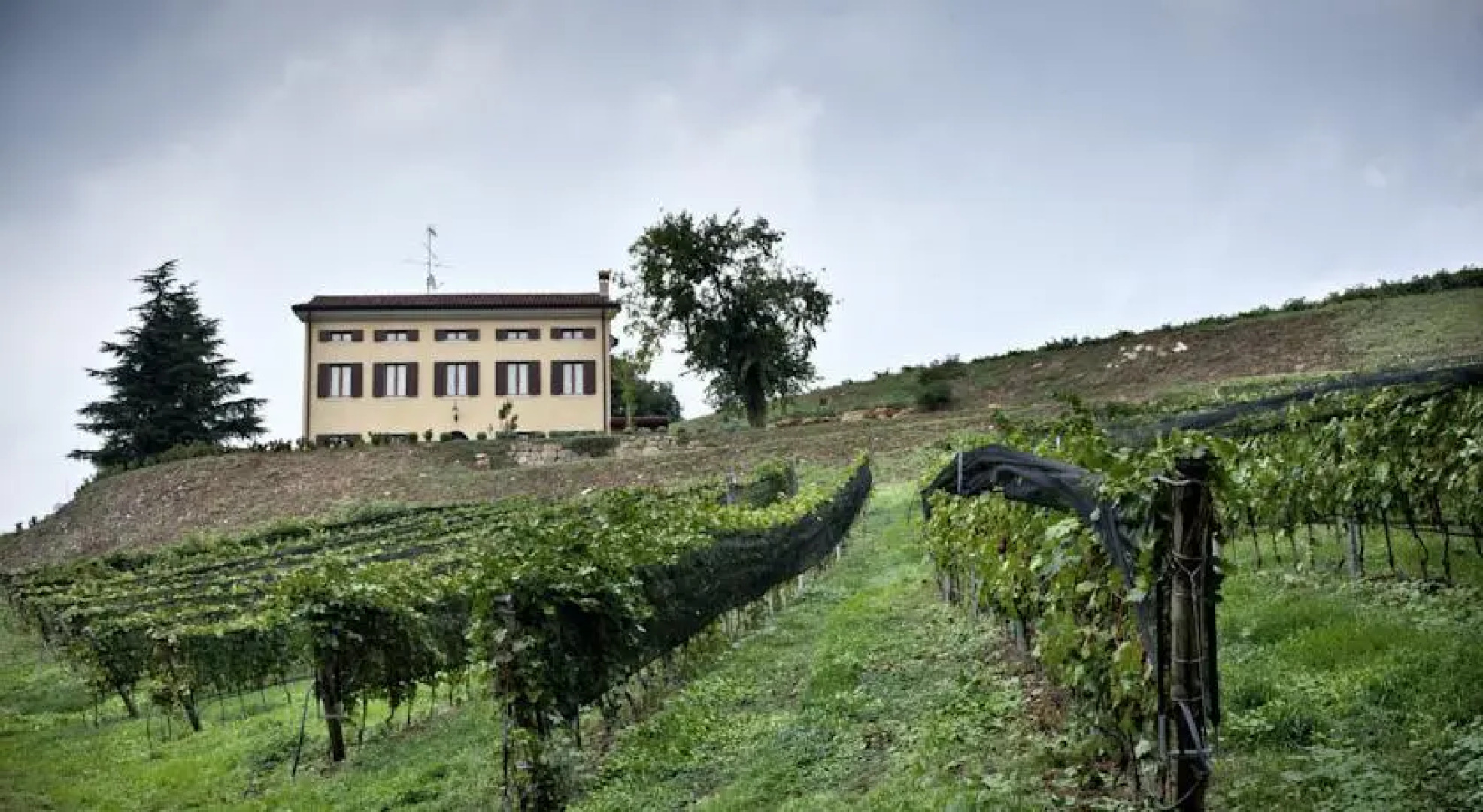 Casa Maffei Country House