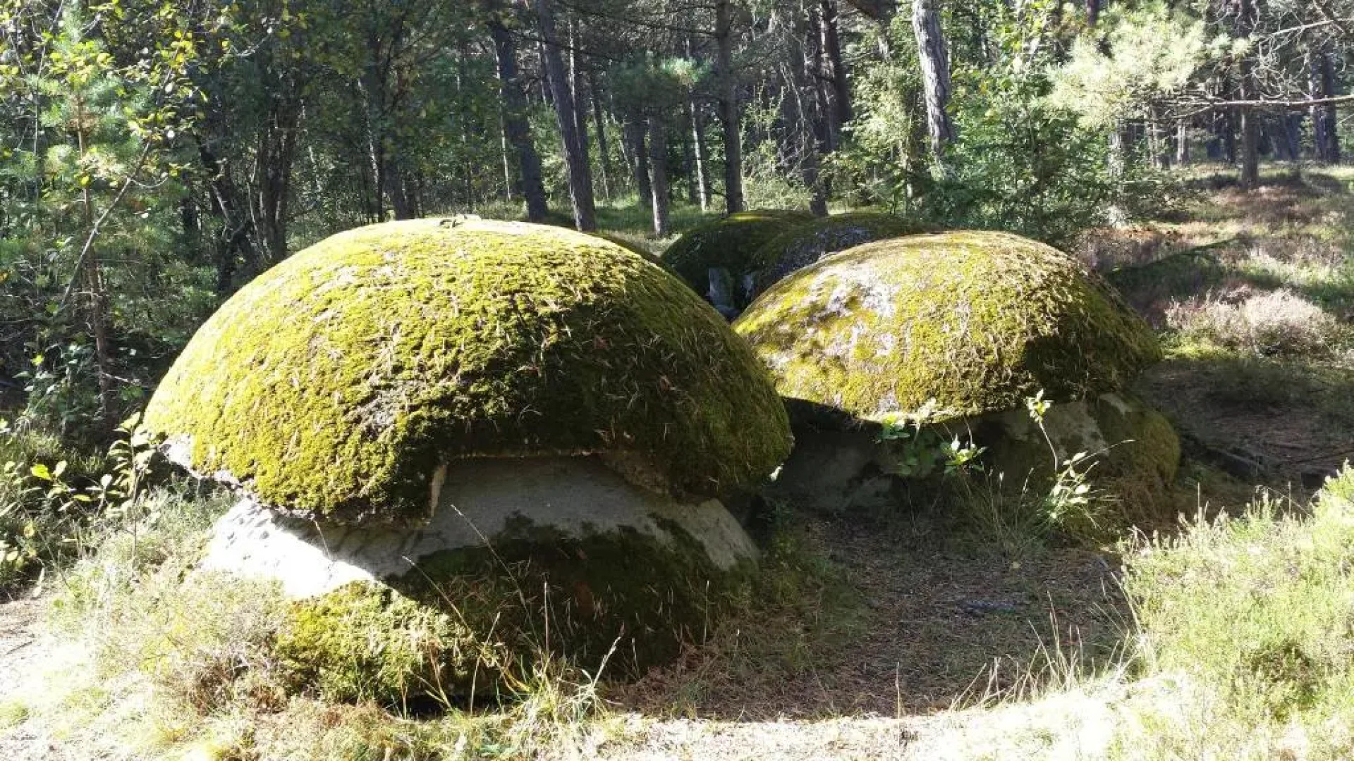 Domki Letniskowe Solaris