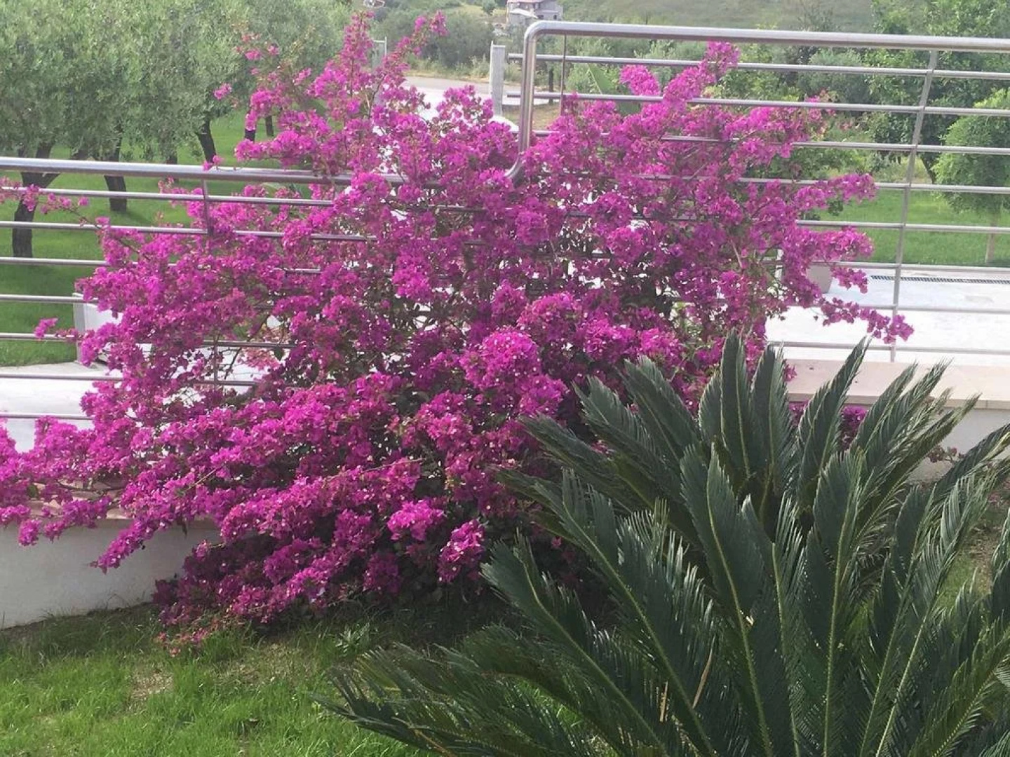 La Collina Dei Colori