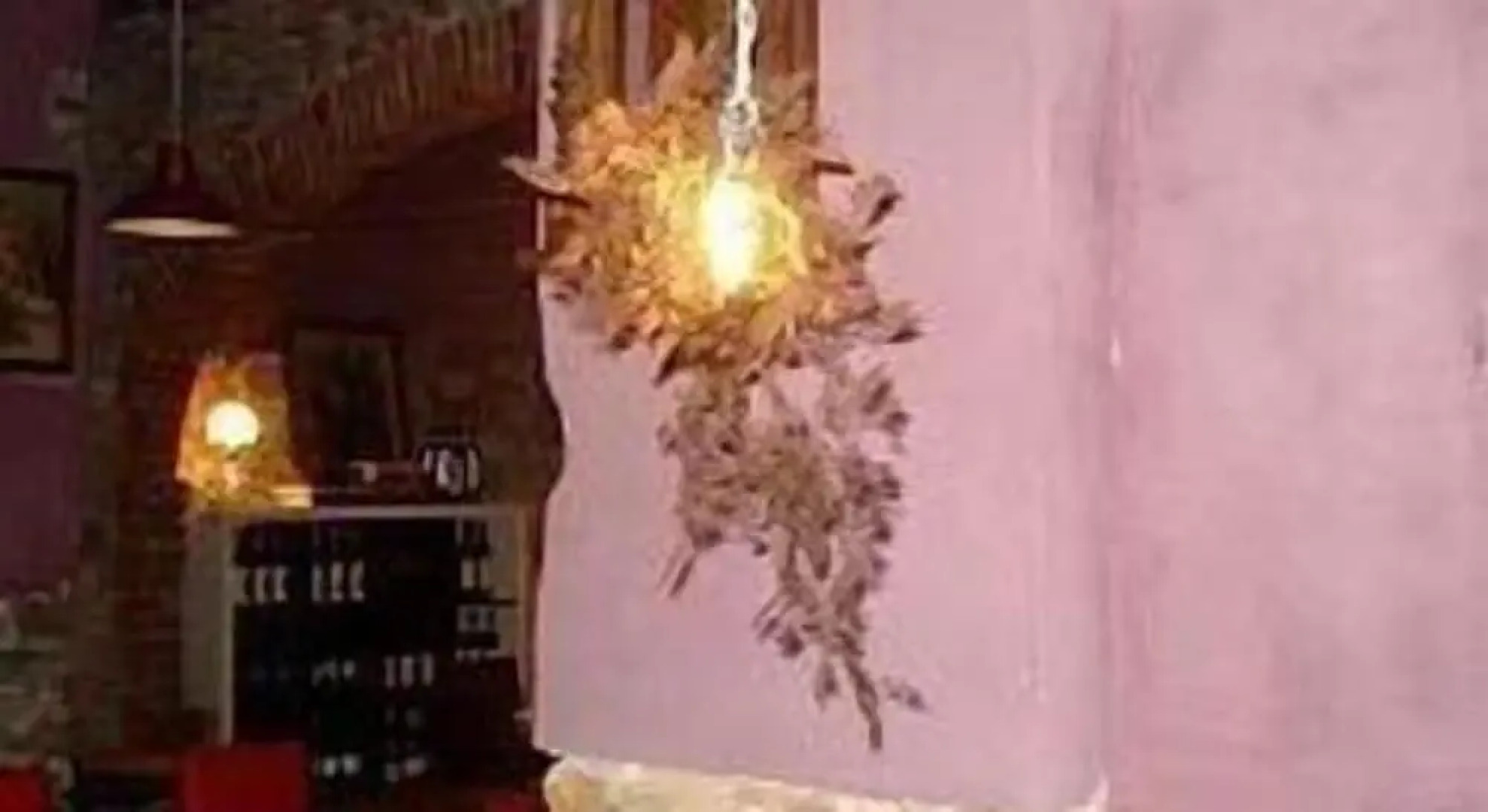 Agriturismo Un Angelo alla mia tavola