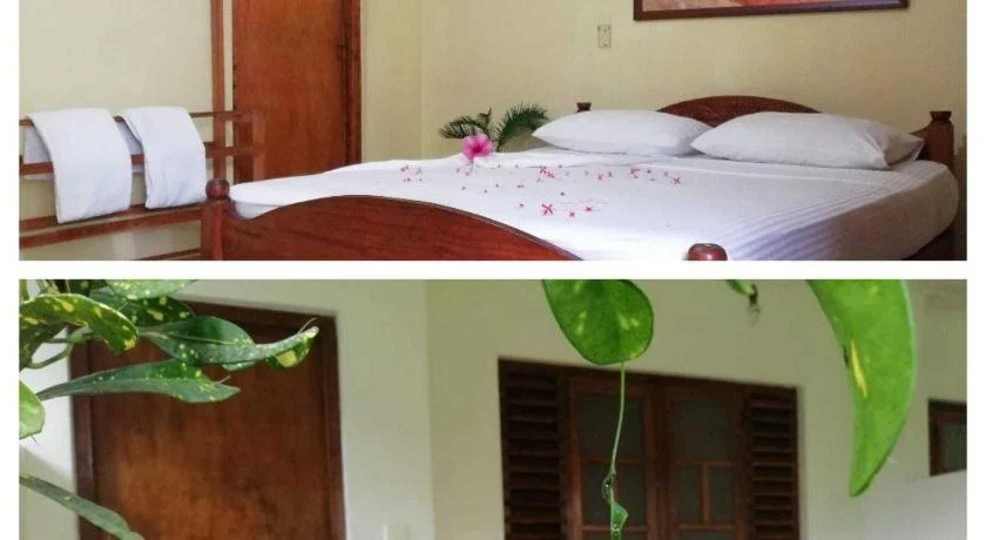 Palm Garden Guest House