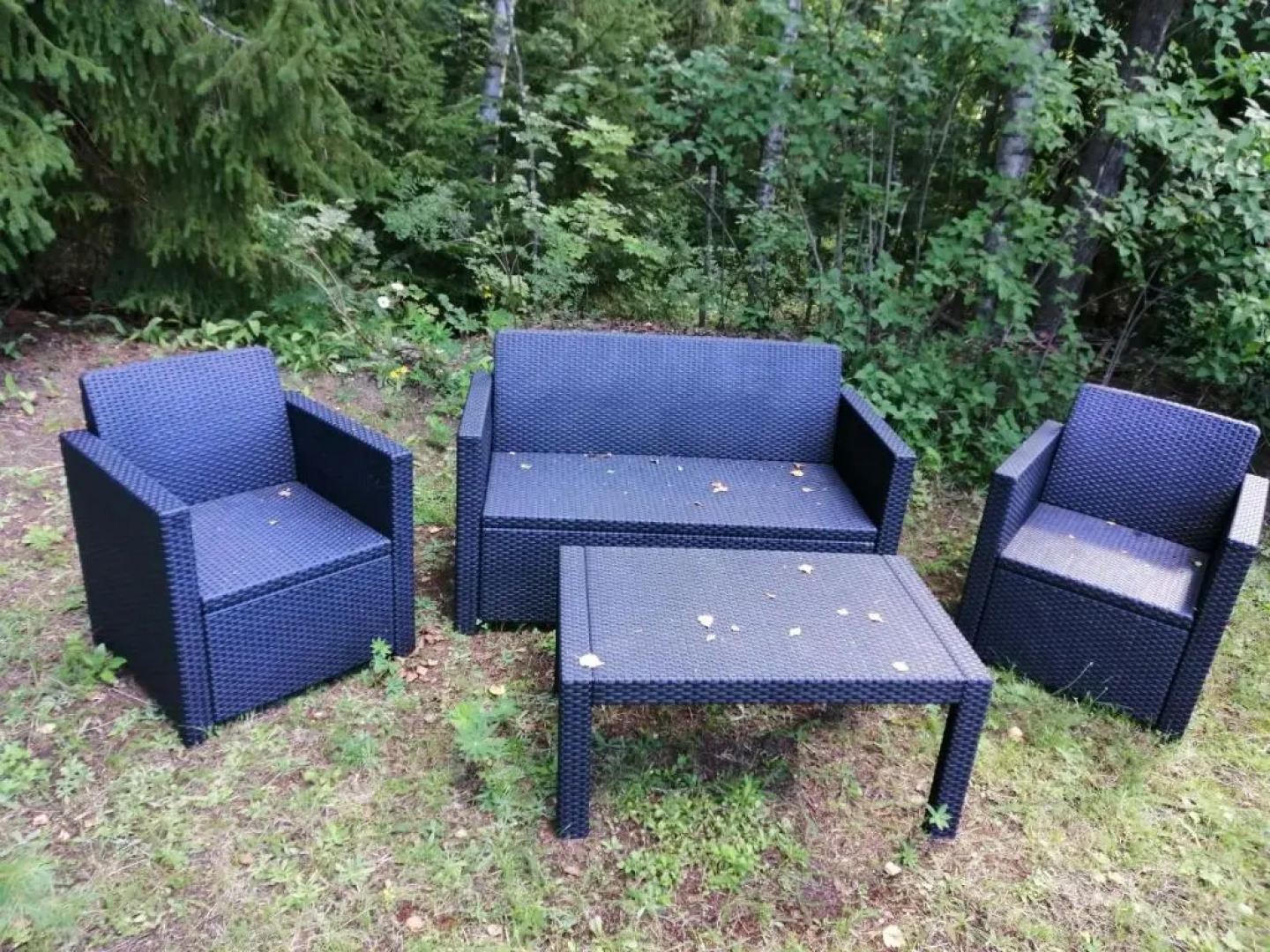 Apartment by the park