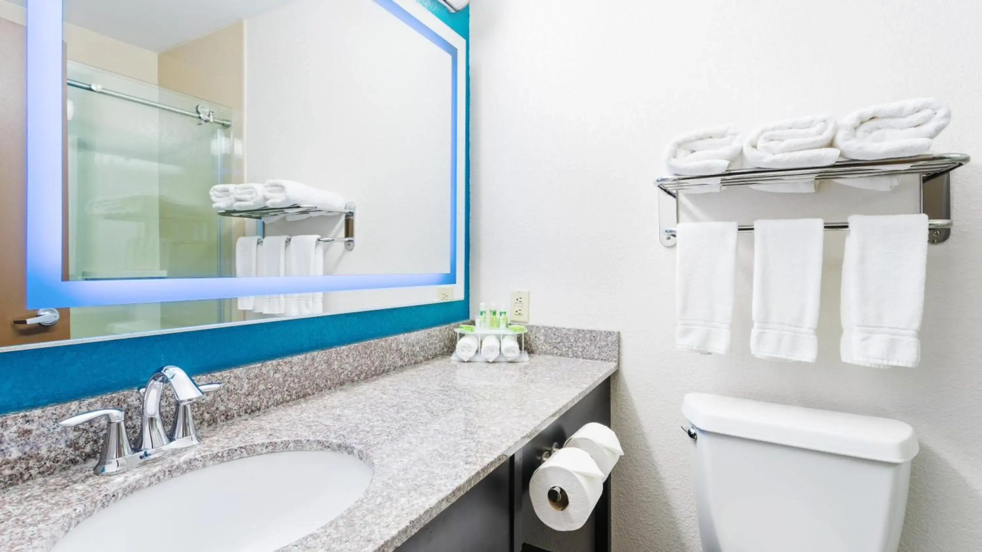 Holiday Inn Express & Suites Wyomissing by IHG