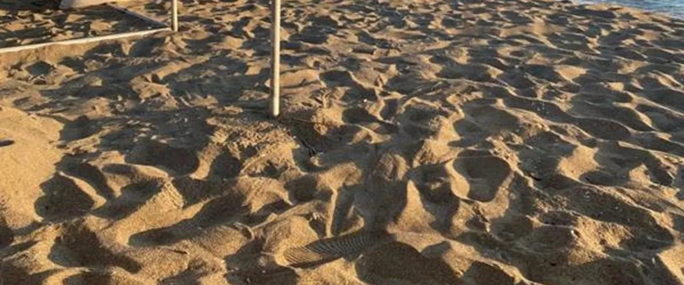 Samandağ Mert Pansiyon Restaurant