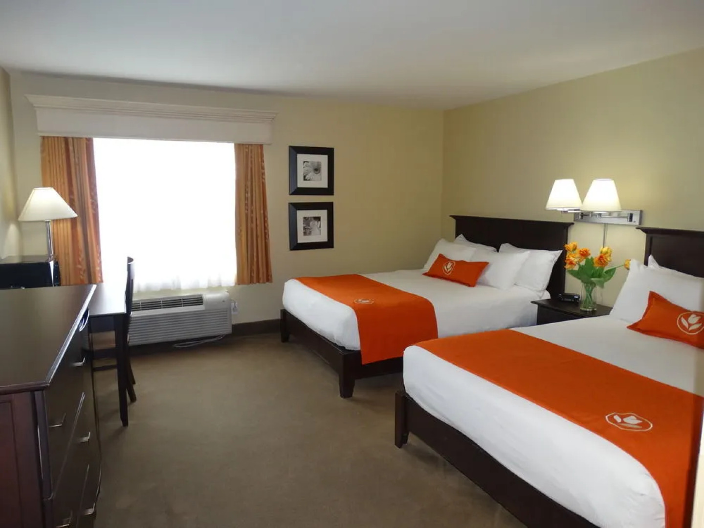 Amsterdam Inn Sussex