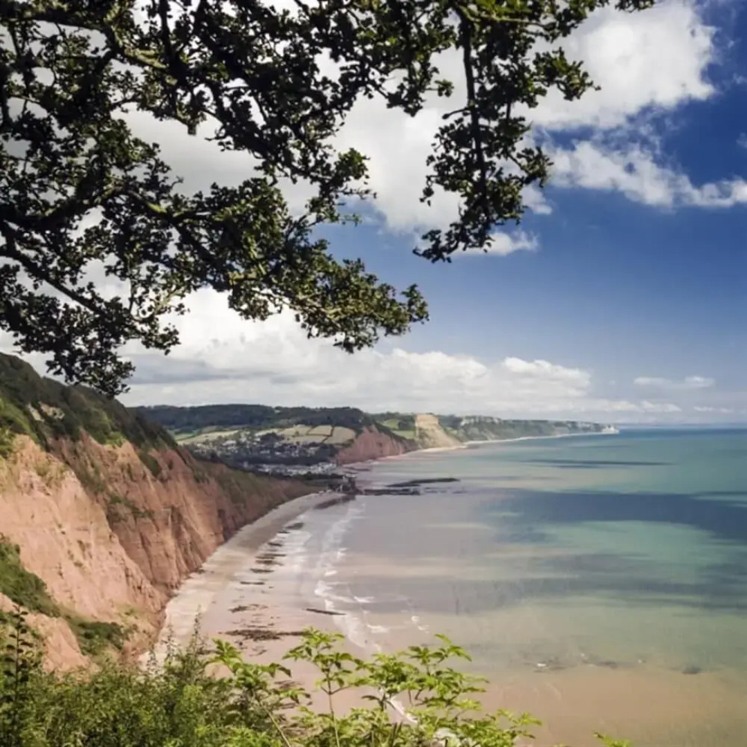 Leys At Valley View Farm
