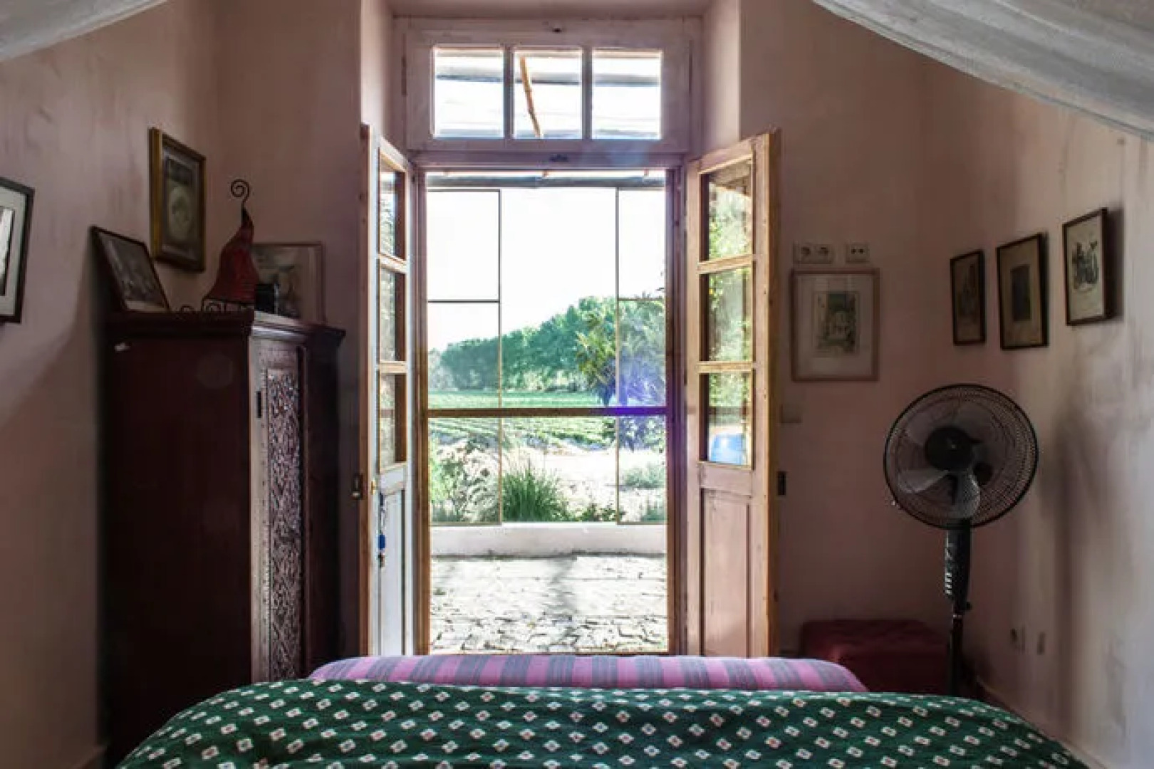 Uva do Monte - Blueberry Farm